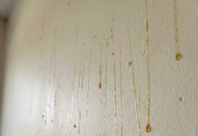 Yellow Stuff Starts Dripping Down Your Bathroom Walls? Here’s What It Might Be