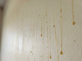 Yellow Stuff Starts Dripping Down Your Bathroom Walls? Here’s What It Might Be
