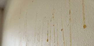 Yellow Stuff Starts Dripping Down Your Bathroom Walls? Here’s What It Might Be