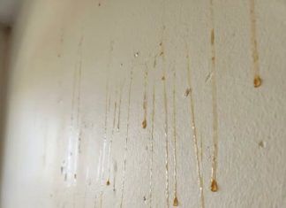 Yellow Stuff Starts Dripping Down Your Bathroom Walls? Here’s What It Might Be