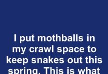 I put mothballs in my crawl space to keep snakes out this spring. This is what happened