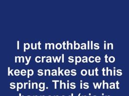 I put mothballs in my crawl space to keep snakes out this spring. This is what happened