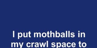 I put mothballs in my crawl space to keep snakes out this spring. This is what happened