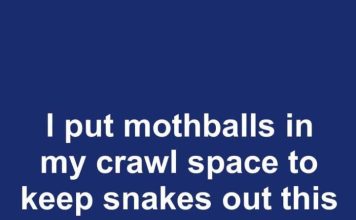 I put mothballs in my crawl space to keep snakes out this spring. This is what happened