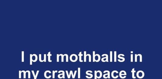 I put mothballs in my crawl space to keep snakes out this spring. This is what happened