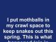 I put mothballs in my crawl space to keep snakes out this spring. This is what happened