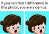 Spot 1 Difference: The Cute Girl in the Green Dress!