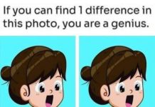 Spot 1 Difference: The Cute Girl in the Green Dress!