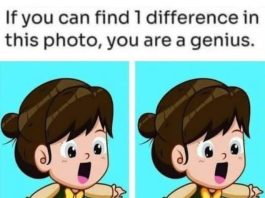 Spot 1 Difference: The Cute Girl in the Green Dress!