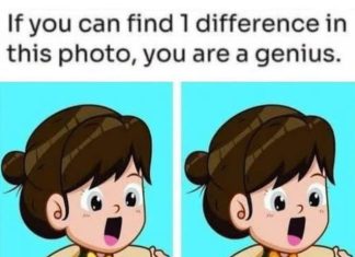 Spot 1 Difference: The Cute Girl in the Green Dress!