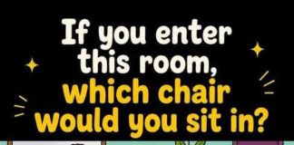 Choose a Chair to Sit In & See What It Reveals About You