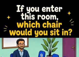 Choose a Chair to Sit In & See What It Reveals About You