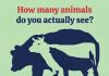 How Many Animals Do You Actually See? The Optical Illusion That Challenges Your Eyes