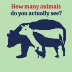 How Many Animals Do You Actually See? The Optical Illusion That Challenges Your Eyes