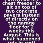 I switched my chest freezer to sit on top of two concrete pavers instead of directly on the garage floor for 2 weeks this August. This is what happened