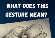The Beautiful Wisdom of the “Fig” Gesture: A Gentle Reflection on Quiet Boundaries and Peaceful Living