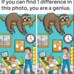 Find 1 Difference: The Sleepy Sloth and Busy Office