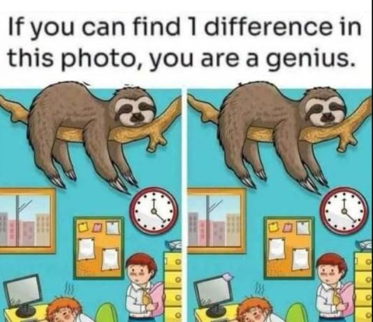 Find 1 Difference: The Sleepy Sloth and Busy Office