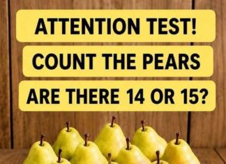 Attention Test! Count the Pears.