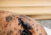 Sweet Potatoes Started Oozing Dark, Sticky Liquid: Is That Sugar or Rot?