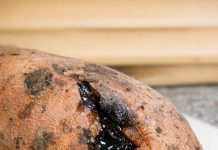 Sweet Potatoes Started Oozing Dark, Sticky Liquid: Is That Sugar or Rot?