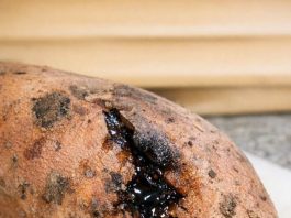 Sweet Potatoes Started Oozing Dark, Sticky Liquid: Is That Sugar or Rot?