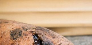 Sweet Potatoes Started Oozing Dark, Sticky Liquid: Is That Sugar or Rot?