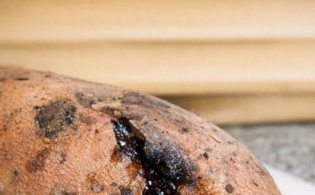 Sweet Potatoes Started Oozing Dark, Sticky Liquid: Is That Sugar or Rot?