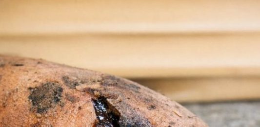 Sweet Potatoes Started Oozing Dark, Sticky Liquid: Is That Sugar or Rot?