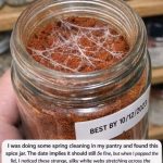 I Was Doing Some Spring Cleaning in My Pantry and Found This Spice Jar. The Date Implies It Should Still Be Fine, but When I Popped the Lid, I Noticed These Strange, Silky White Webs Stretching Across