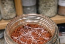 I Was Doing Some Spring Cleaning in My Pantry and Found This Spice Jar. The Date Implies It Should Still Be Fine, but When I Popped the Lid, I Noticed These Strange, Silky White Webs Stretching Across