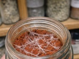 I Was Doing Some Spring Cleaning in My Pantry and Found This Spice Jar. The Date Implies It Should Still Be Fine, but When I Popped the Lid, I Noticed These Strange, Silky White Webs Stretching Across