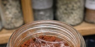 I Was Doing Some Spring Cleaning in My Pantry and Found This Spice Jar. The Date Implies It Should Still Be Fine, but When I Popped the Lid, I Noticed These Strange, Silky White Webs Stretching Across