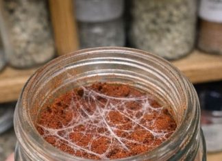 I Was Doing Some Spring Cleaning in My Pantry and Found This Spice Jar. The Date Implies It Should Still Be Fine, but When I Popped the Lid, I Noticed These Strange, Silky White Webs Stretching Across