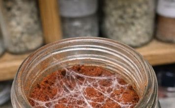 I Was Doing Some Spring Cleaning in My Pantry and Found This Spice Jar. The Date Implies It Should Still Be Fine, but When I Popped the Lid, I Noticed These Strange, Silky White Webs Stretching Across