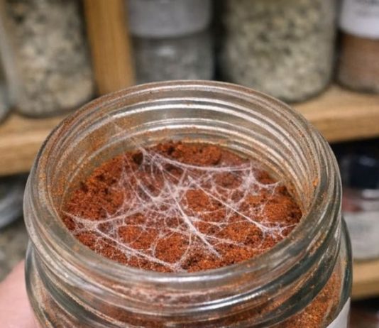 I Was Doing Some Spring Cleaning in My Pantry and Found This Spice Jar. The Date Implies It Should Still Be Fine, but When I Popped the Lid, I Noticed These Strange, Silky White Webs Stretching Across