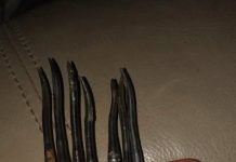My Friend’s Grandparents Passed Away, and He Found These Strange Metal Tools. What Are They?