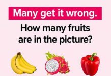 How many fruits are in the picture?