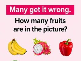 How many fruits are in the picture?