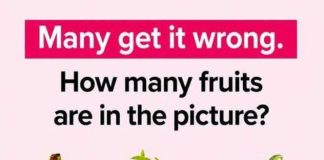 How many fruits are in the picture?