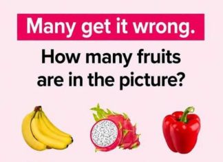 How many fruits are in the picture?