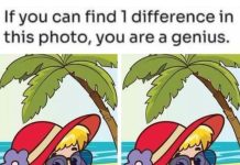 Happy Beach Girl: Spot 1 Difference