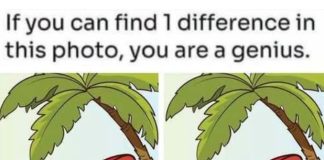 Happy Beach Girl: Spot 1 Difference