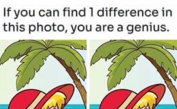Happy Beach Girl: Spot 1 Difference