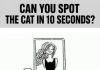 Can You Spot the Cat in 10 Seconds?