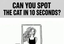 Can You Spot the Cat in 10 Seconds?