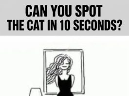 Can You Spot the Cat in 10 Seconds?