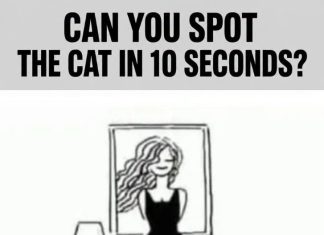 Can You Spot the Cat in 10 Seconds?