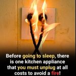 The Gentle Art of Unplugging: 5 Common Appliances to Unplug for Safety, Savings, and Peace of Mind