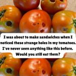 What It Means If You See These Holes in Tomatoes